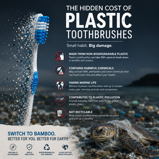 Boar Bristle & Bamboo Toothbrush