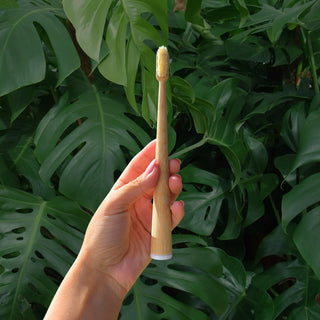 Boar Bristle & Bamboo Toothbrush